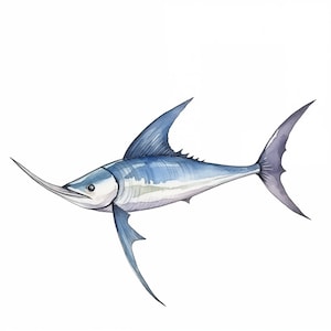 10 Fische JPG 300 DPI Clipart Vol 1 | Kommerzielle Nutzung | Sofortdownload | Fisch Clipart | Assortierte Fisch Clipart | Digitales JPG