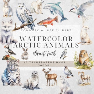 47 Arctic Animals Clipart | Digital Download | Nursery Art | Watercolor Winter Animals | Winter Wonderland Clipart | Arctic Animals Pngs