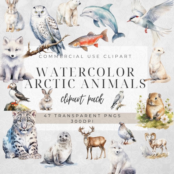 47 Arctic Animals Clipart | Digital Download | Nursery Art | Watercolor Winter Animals | Winter Wonderland Clipart | Arctic Animals Pngs