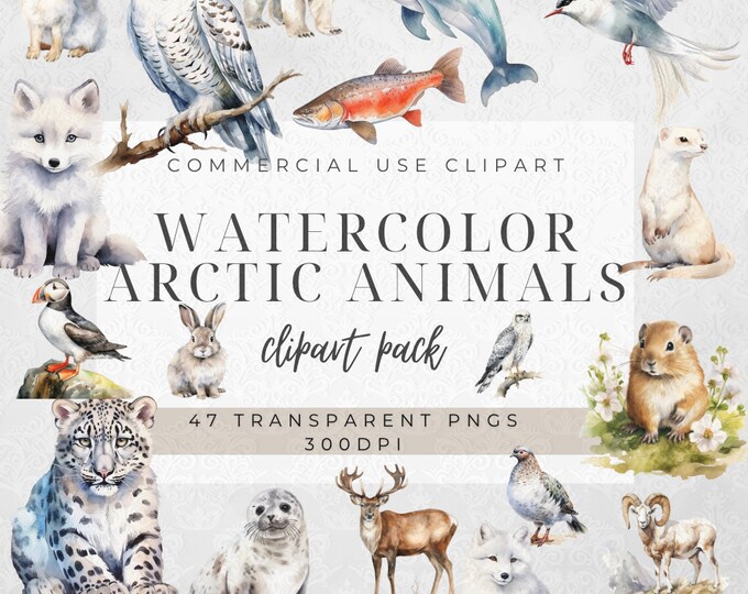 47 Arctic Animals Clipart | Digital Download | Nursery Art | Watercolor ...