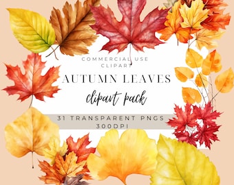 Fall Leaves Clipart – Watercolor Autumn Leaf Illustrations PNG Download