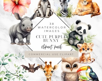 38 Dschungeltiere Clipart-Set - Wilde Safari PNG Bundle für kreative Projekte