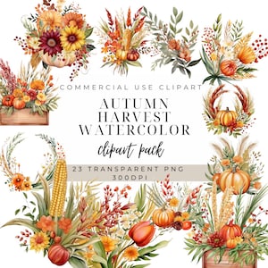 Fall Clipart | Pumpkin Clipart | Harvest Clipart | Pumpkin Floral Png | Autumn Illustration | Autumn Harvest Clipart | Thanksgiving Clipart