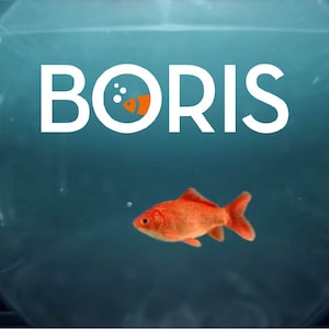 BORIS - &quot;The Italian Out of Series&quot; - Italian - COMPLETE - S01 - S04 - TV Series