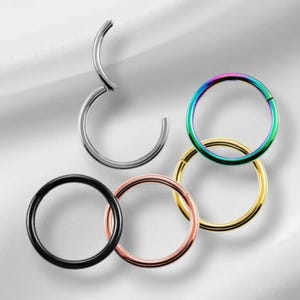 May include: A selection of circular body jewellery, including a silver hinged ring, a black ring, a rose gold ring, a gold ring, and a rainbow-coloured ring. The jewellery is displayed against a white background.