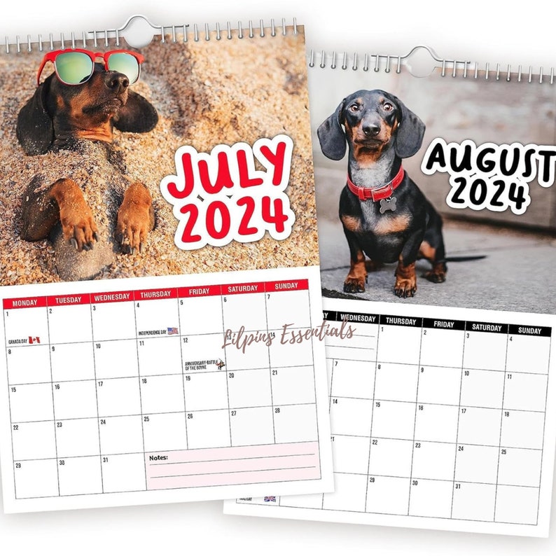 Cheeky Dachshunds 2024 Wall Calendar, Funny Dog Monthly Calendar