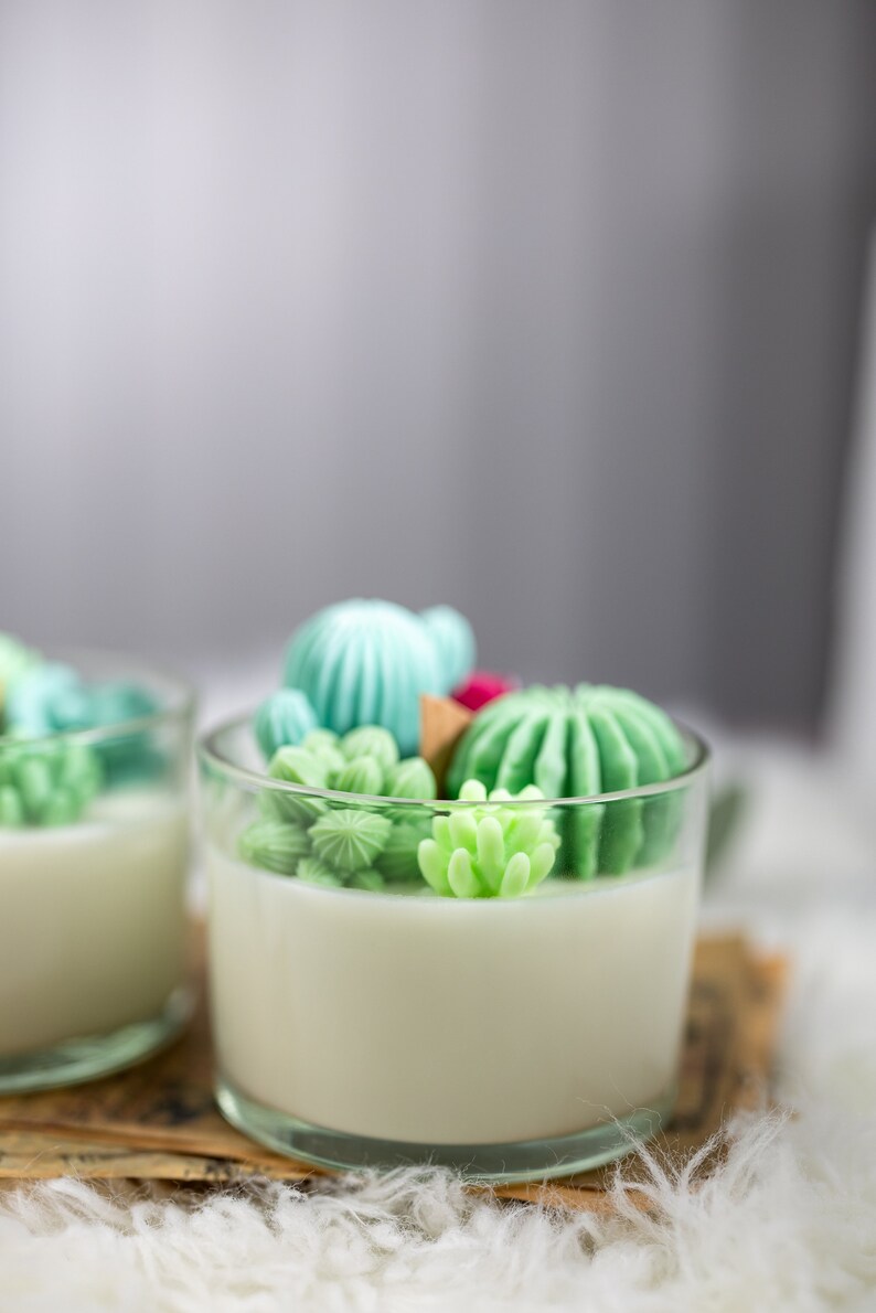 Large Glass Succulent Cacti Candle, Succulent Cacti Terrarium Garden Gift,cactus Blossom Scent