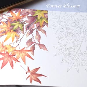 Livre de coloriage pour adultes, fleurs de saison, livre de coloriage pour carte postale, cartes postales à faire soi-même, livre de coloriage pour se détendre, soulager le stress, pleine conscience