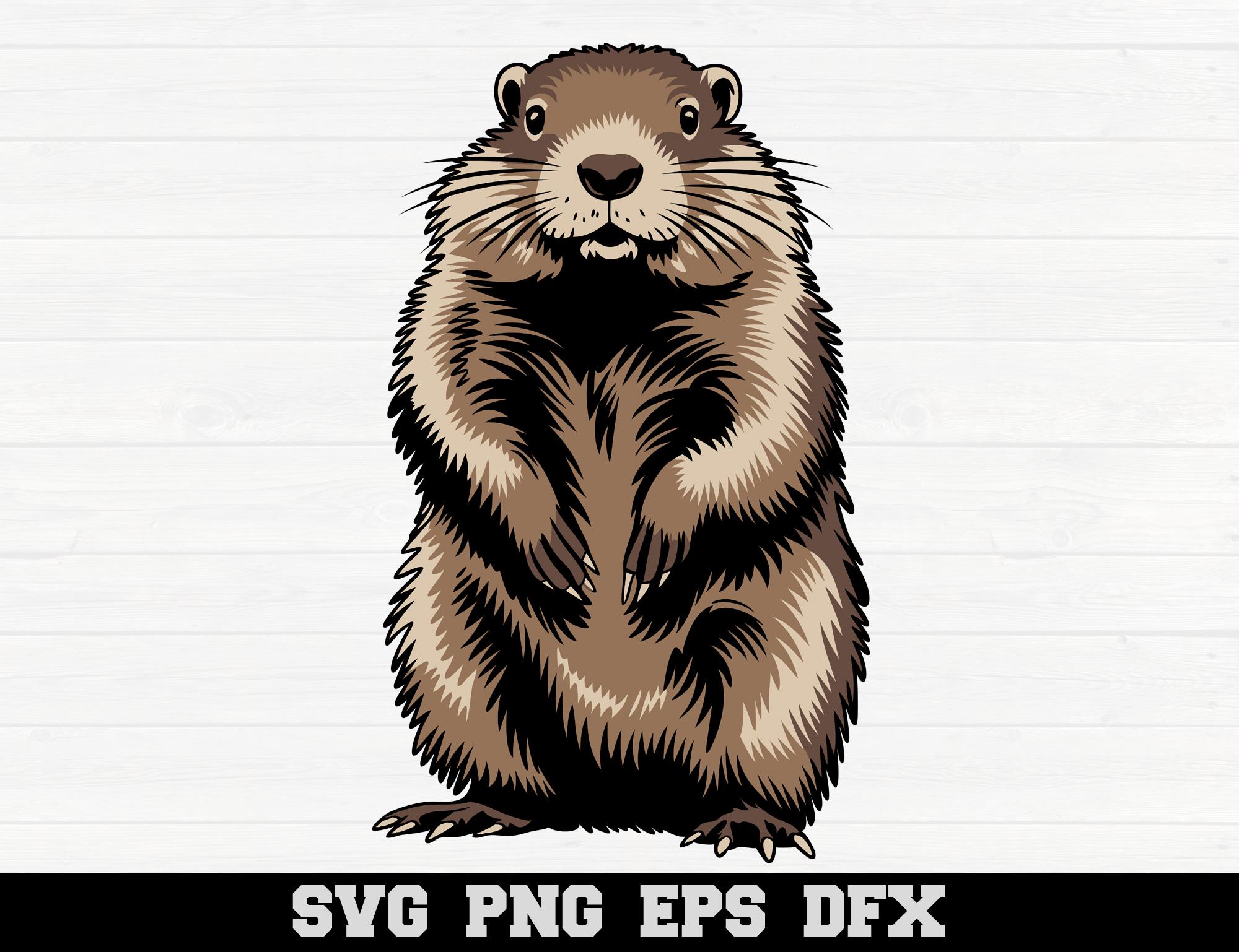 Marmot illustration - Etsy 日本