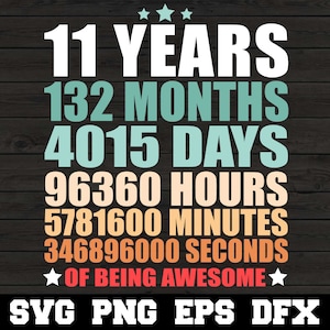 11th Birthday 11 Years 132 Months Being Awesome 11 Years Old SVG Funny Happy 11th Birthday Silhouette SVG PNG Cutting File Cricut Download