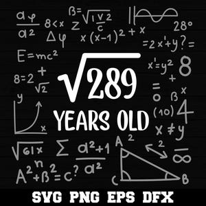17th Birthday Square Root of 289 Funny 17 Years Old Math Lover SVG Happy 17th Birthday Silhouette SVG PNG Cutting File Cricut Download