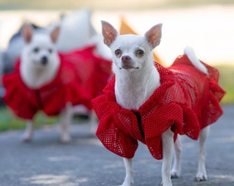 Dog Dress