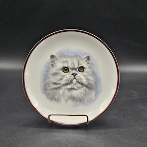 Coalport Fine Bone China Made in Endland Cat Plate.