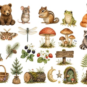 Woodland Clipart Bundle Forest Animals Nursery Wall Art Graphics Nature Illustrations Cottage Core Digital Download Transparent Background
