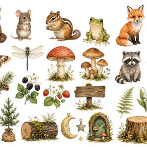 May include: A collection of woodland-themed illustrations featuring a brown bear, mouse, chipmunk, frog, fox, fawn, moth, dragonfly, mushrooms, raccoon, pine branch, blackberries, strawberries, wooden sign, fern, lily of the valley, basket, tree, log, moon, star, and door.