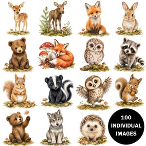Könnte beinhalten: Eine Sammlung von sechzehn Illustrationen im Aquarellstil mit verschiedenen Waldtieren wie Hirsch, Elch, Fuchs, Hase, Bär, Eule, Waschbär, Eichhörnchen, Stinktier, Wolf und Igel, mit einem schwarzen Kreis und dem Text 100 INDIVIDUAL IMAGES.