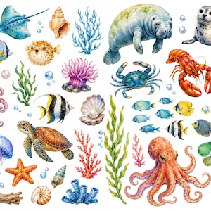 May include: A watercolour illustration featuring a variety of marine life, such as a manatee, seal, octopus, fish, crab, lobster, and starfish. The image also includes seashells, coral, and seaweed in shades of blue, orange, and green.