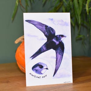 Cartes postales - tirages aquarelles