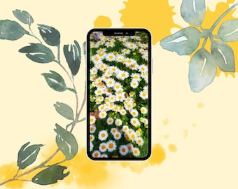 Flower wallpaper, flower phone wallpaper, phone wallpaper, daisies wallpaper, iPhone wallpaper, Android wallpaper, digital download