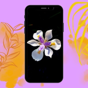 写真の携帯電話の壁紙、花の携帯電話の壁紙、携帯電話の壁紙、iPhoneの壁紙、Androidの壁紙、蘭の壁紙、デジタル写真、