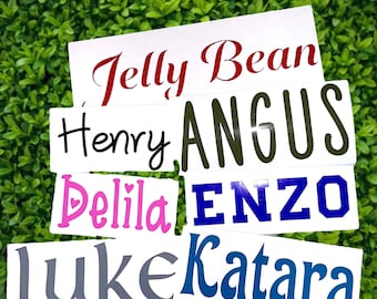 Custom Vinyl Text Decals Various Colours and Fonts