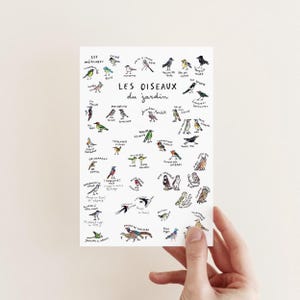 Carte Oiseaux du Jardin + enveloppe | Cadeaux | Greeting Card | Foret | Anniversaire | Birthday | Carte Simple | Nature Papeterie l Rosywood