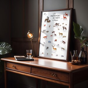 Poster Säugetiere der Wälder Belgiens | Illustration | Tiere | Belgien | Poster l Druck A2 l Druck A3 | Rosenholz