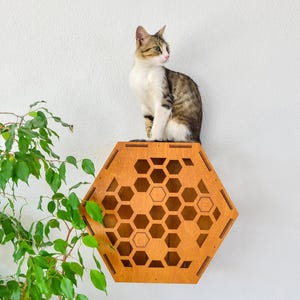 Hexagon Cat Wall Shelves, Modern Cat Wall Furniture, Cat Tower, Cat Tunnel Shelves
