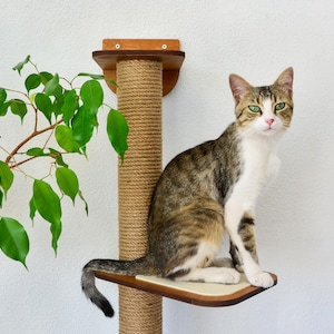 Cat Furniture Wall, Modern Cat Wall Shelves, Cat Wall Bed, Cat Bridge, Cat Steps, Cat Tower, Cat Play Furniture, cat scratching post