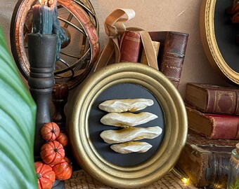 Mushroom Frame, Cabinet of Curiosities