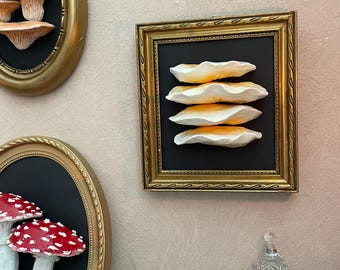 Mushroom Frame, Cabinet of Curiosities