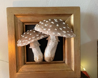 Cadre Champignons, cabinet de curiosité