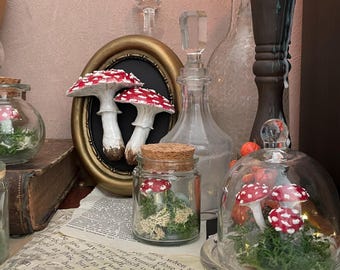 Mushroom Frame, Cabinet of Curiosities