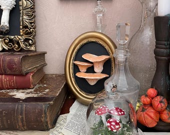 Mushroom Frame, Cabinet of Curiosities