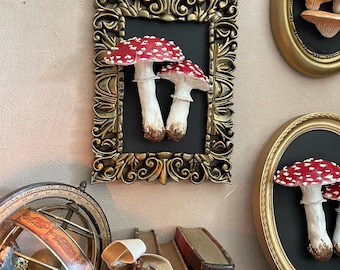 Mushroom Frame, Cabinet of Curiosities