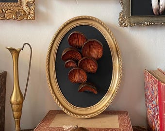 Mushroom Frame, Cabinet of Curiosities