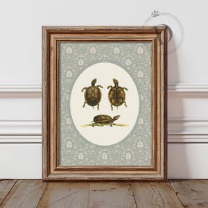 Vintage Turtle Print: Cottagecore Animal Wall Art (Digital Download)