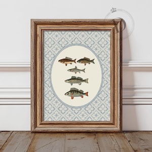 Fish Wall Art, Printable Coastal Father’s Day Wall Art, Vintage Freshwater Fishing Print, Digital Download