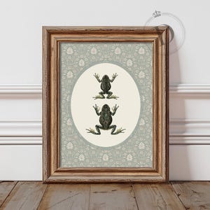Frog Wall Art, Printable Insect Wall Art, Vintage Botanical Frog Print, Cottagecore Decor, Digital Download