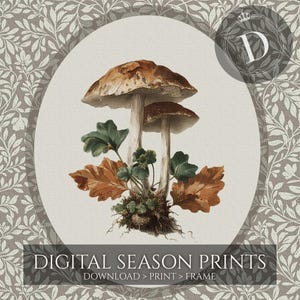May include: A botanical illustration of two mushrooms with brown caps and stems, surrounded by green and orange leaves. The image is set against a light background within a decorative oval frame, with the text "DIGITAL SEASON PRINTS" at the bottom.