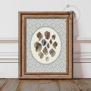 Seashell Wall Art, Printable Coastal Wall Art, Vintage Beach Shell Oval Print, Digital Download
