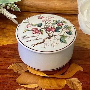 May include: A round white porcelain trinket box with a lid featuring a botanical illustration of Vaccinium vitis-idaea, also known as lingonberry, with red berries, green leaves, and pink flowers, accented by a thin brown rim line.