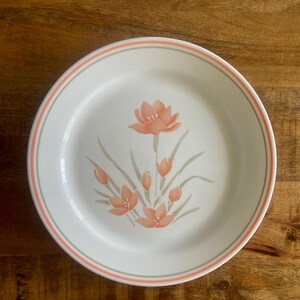 Lot of 4, Corelle PEACH FLORAL Dinner Plates (1987 - 1991) in Beautiful Condition