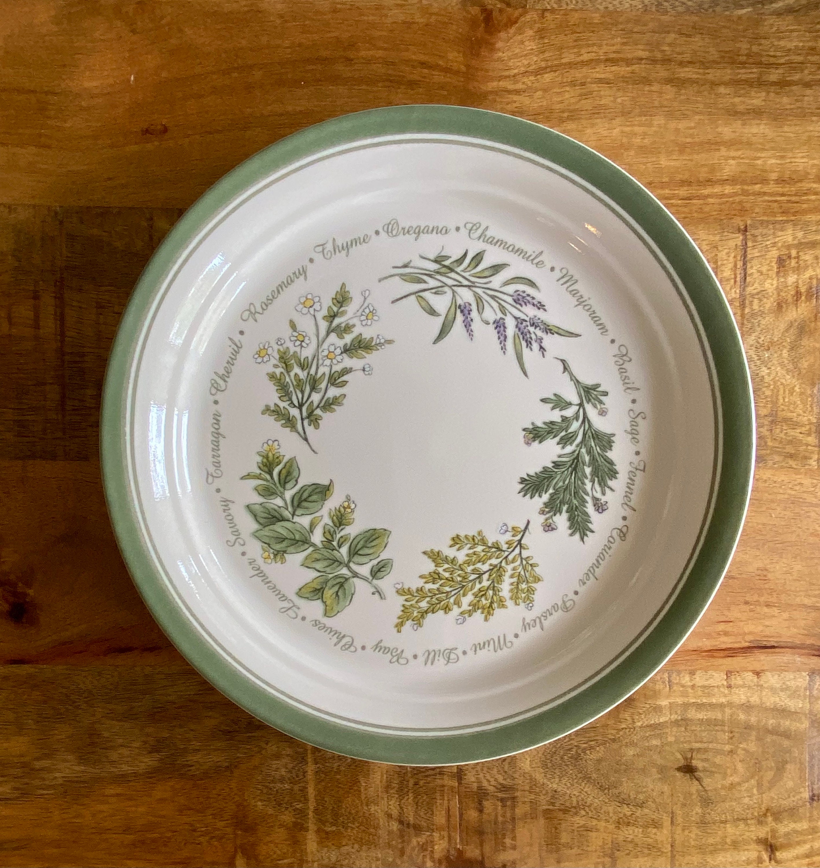 Lot of DINNER Plates, Corelle THYMELESS HERBS in Excellent