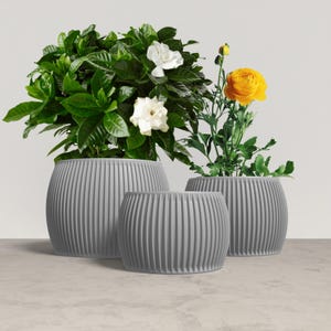 Peut inclure: Trois jardinières rondes grises et striées de différentes tailles, chacune contenant des plantes différentes. Une jardinière contient une plante verte luxuriante avec des fleurs blanches, une autre une fleur jaune et la troisième une plante verte. Les jardinières sont sur une surface claire.