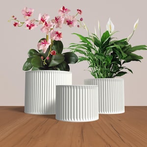 May include: Three white ceramic planters with a ribbed texture. The planters are filled with plants, including a pink orchid and a peace lily.