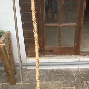 May include: A wooden walking stick with a twisted design. The stick is brown and has a natural finish. It is leaning against a wooden door.