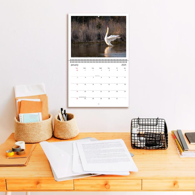 Bird Lover 2025 Calendar Etsy