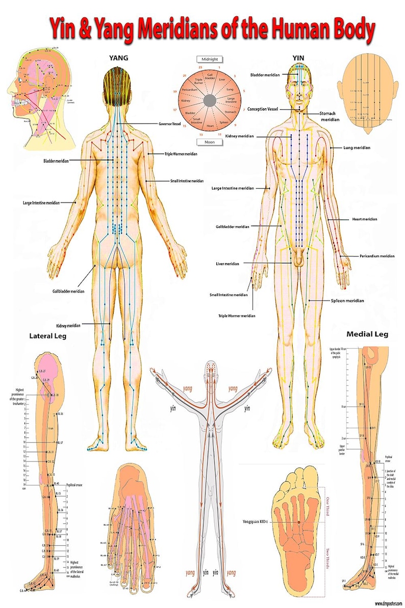 Yin & Yang Meridians of the Human Body - High-Resolution Acupuncture Chart Printable PDF | Traditional Chinese Medicine Poster image 1