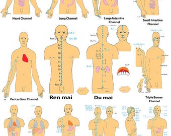 Yin & Yang Meridians of the Human Body - High-Resolution Acupuncture Chart Printable PDF | Traditional Chinese Medicine Poster